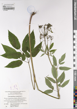LE 01199609