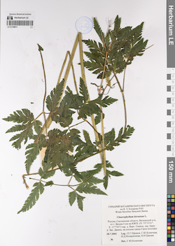 LE 01199611