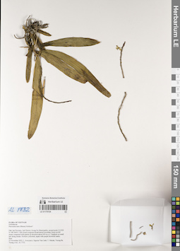 LE 01170134