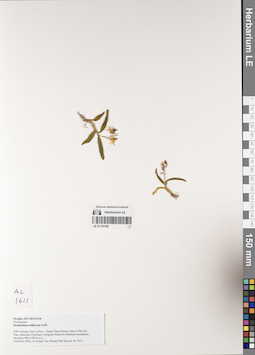 LE 01170198