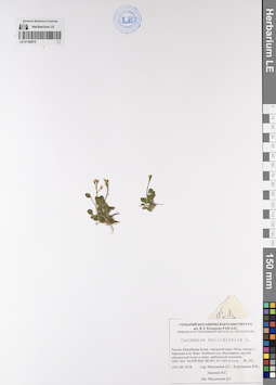 LE 01108075