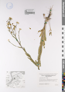 LE 01120154