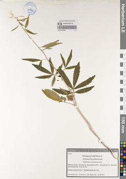 LE 01120165