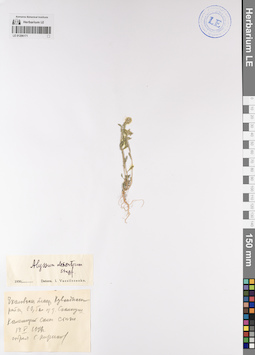 LE 01206171