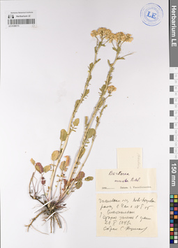 LE 01206173