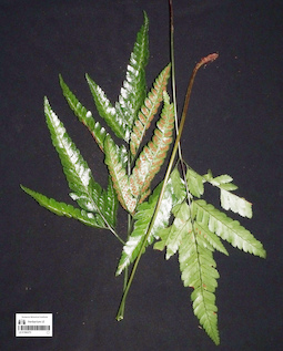 LE 01360273