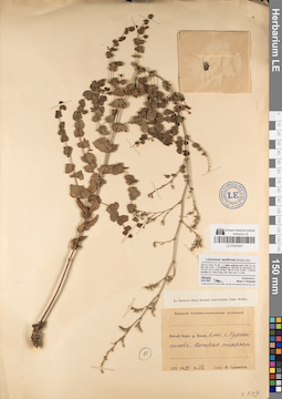 LE 01047697