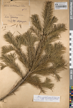 LE 01062473