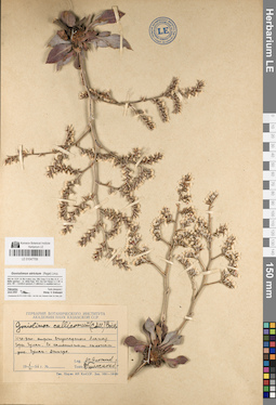 LE 01047708