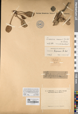 LE 01047730
