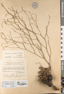 LE 01047733