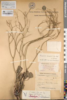 LE 01047738