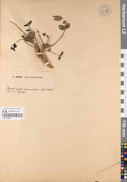 LE 01224454