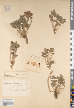 LE 01224485