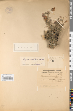 LE 01224497
