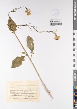 LE 01201475