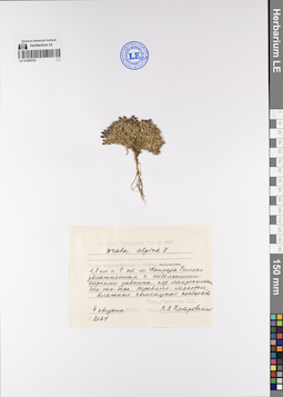 LE 01200722