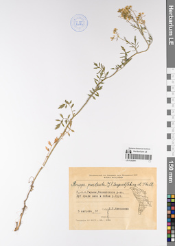 LE 01202041