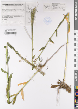 LE 01201070