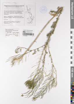 LE 01201076