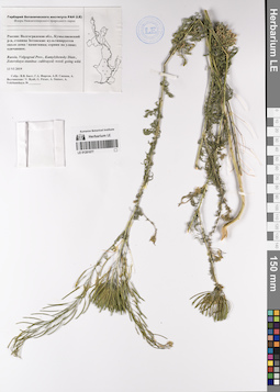 LE 01201077
