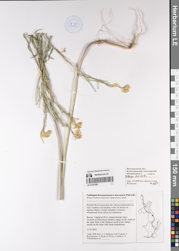 LE 01201080