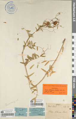 LE 01053293