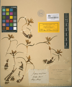 LE 01044754