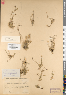 LE 01042244