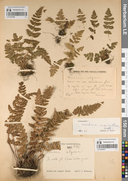 LE 01070297