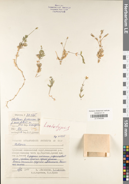LE 01042255