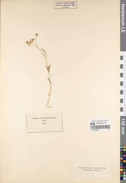 LE 01083842