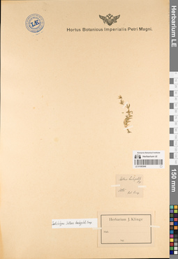 LE 01083846