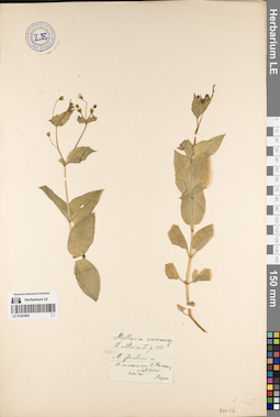 LE 01083860