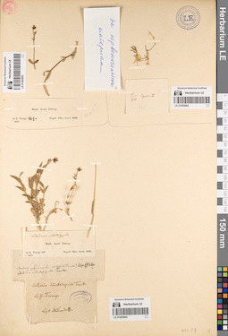 LE 01083862