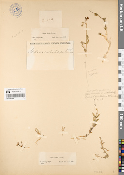 LE 01083866