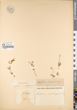 LE 01083868