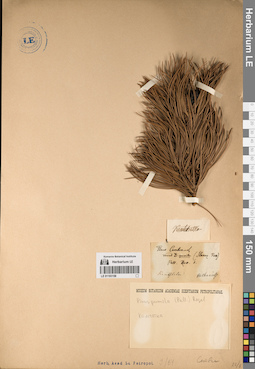 LE 01193158