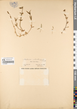 LE 01083869