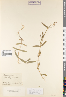 LE 01083878