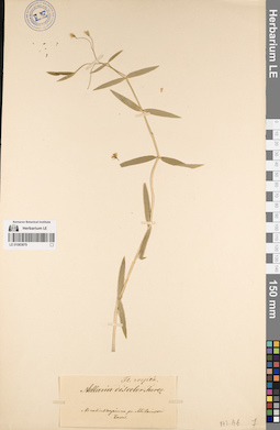LE 01083879