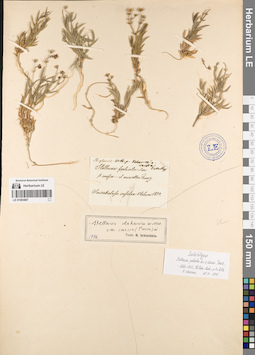 LE 01083887