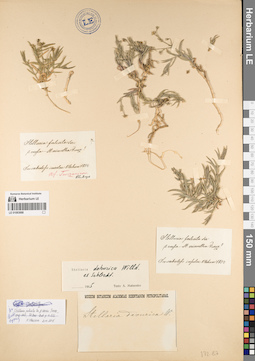 LE 01083888