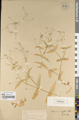 LE 01083890