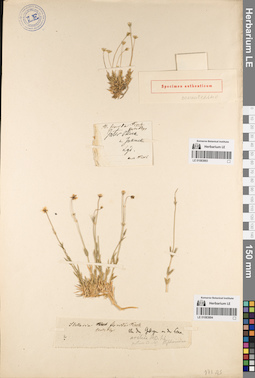 LE 01083894
