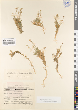 LE 01083897