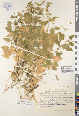 LE 01083900