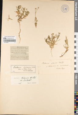 LE 01083903