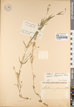 LE 01083904