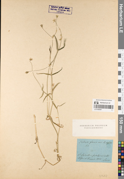 LE 01083907